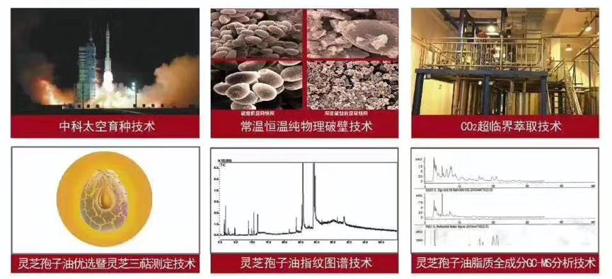 中科灵芝孢子油六大核心技术总览